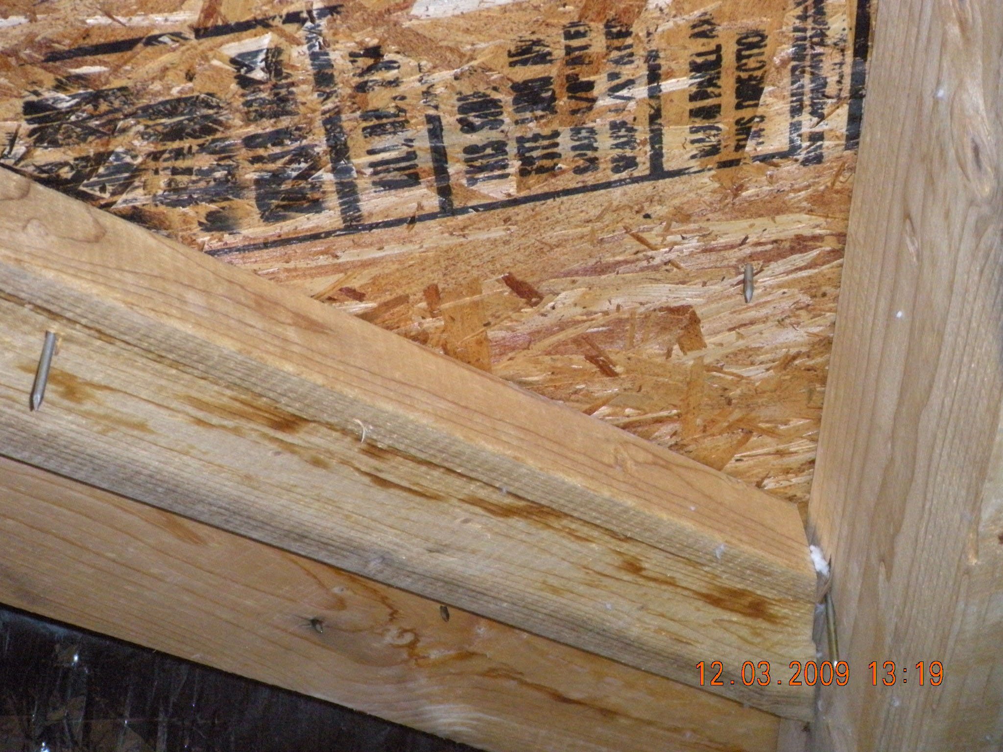 Holland Home Inspections South Central Kentucky &mdash; foundation inspection photo 39