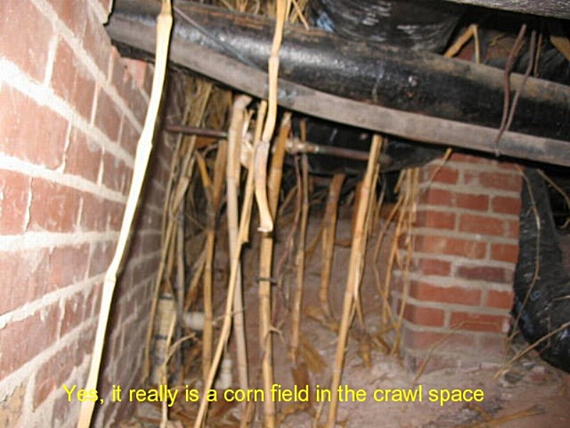 Holland Home Inspections South Central Kentucky &mdash; crawlspace inspection photo 4